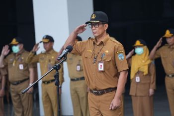 DPMD Kaltara tawarkan konsep desa zero karhutla lewat skema insentif
