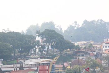 Legislator Andi Putra sarankan WFH, Pemkot Bukittinggi sesuaikan dengan kondisi kualitas udara
