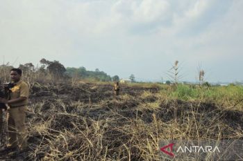 Tim gabungan kendalikan karhutla 20 hektare di Betapus Samarinda