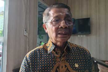 DPD: Investigasi menyeluruh SPPG cegah keracunan MBG