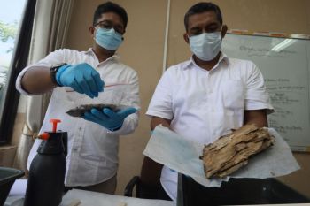 Manassa inventarisasi 520 manuskrip Aceh rusak akibat bencana