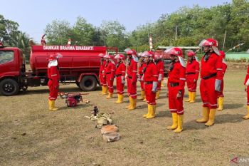 Perkebunan sawit Jambi libatkan kelompok tani tangani karhutla