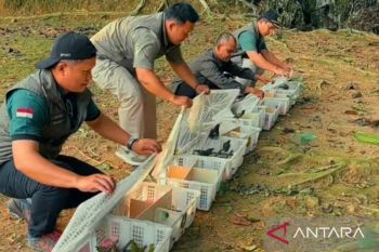 BKSDA Jambi gagalkan penyelundupan 198 ekor burung  tanpa dokumen