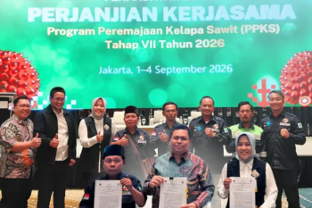 Bank Sumsel Babel perkuat ekosistem perkebunan lewat kerja sama peremajaan sawit 2026