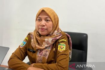 Petani lokal pasok pangan ke 10 SPPG di Timika