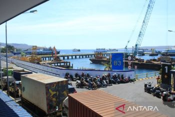 Gapasdap dorong ASDP Ketapang optimalkan Dermaga LCM urai antrean