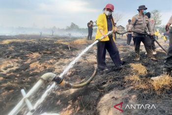 ULM terjunkan mahasiswa kuliah lapangan tanggulangi karhutla