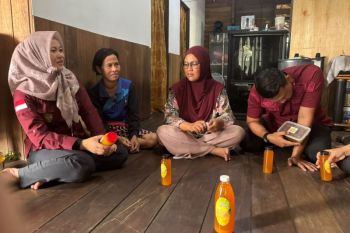 Nanas Parigi Barsel didorong naik kelas lewat pengembangan Kekayaan Intelektual