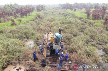 Wow tim padam karhutla ungkap perambahan ilegal di Ketapang