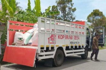 KDMP di Pulau Simeulue serap gabah petani