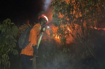 BPBD laporkan 427 hektare terdampak kebakaran hutan-lahan Poso