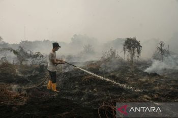 Akademisi UPR sebut tata air jadi kunci cegah kebakaran lahan gambut