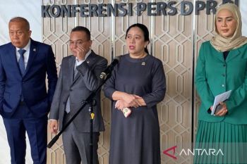 Puan urges probe into land burned, then planted with oil palms