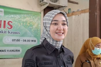 Wagub Lampung sebut Destana siap bantu mitigasi bencana di desa