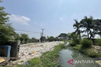 Pemkab Bekasi hijaukan lahan eks bangunan liar di sepanjang Saluran Balong Tua