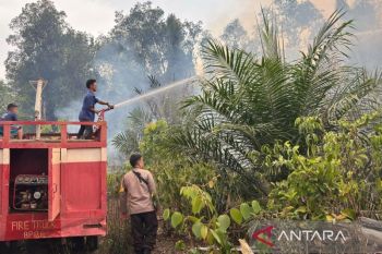 Tim gabungan Bangka Barat berhasil padamkan karhutla di Airbulin