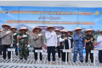 Pemkab Muara Enim dan Kapolda Sumsel tanam bawang putih serentak di Semende Darat Tengah