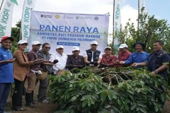 PUSRI dan Kementerian Pertanian bersinergi perkuat daya saing kopi arabika Kintamani di Pasar Global