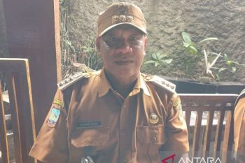 Mimika Timur kelola anggaran padat karya Rp3 Miliar
