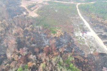 Tim gabungan Kabupaten PPU tangani 113 karhutla hingga 8 September