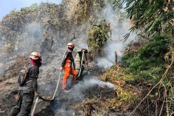 Kabupaten Poso siapkan dua posko induk siaga karhutla