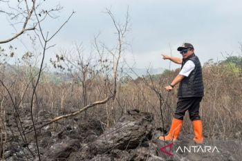 Bupati Kuningan ungkap luas karhutla di Gunung Ciremai capai 40 hektare
