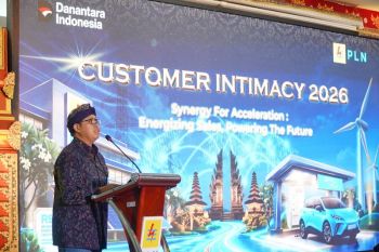 Penjualan listrik di Bali tumbuh 8,48 persen