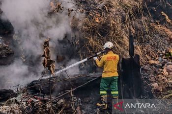 Tim gabungan berjibaku padamkan karhutla 8,5 hektare di Kabupaten Berau