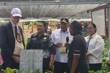 Kedubes Inggris dan Pemprov Papua luncurkan peta jalan kakao