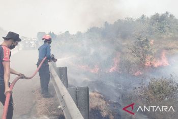 Damkar Lampung Selatan padamkan kebakaran lahan di dua titik Tol KM 90-91