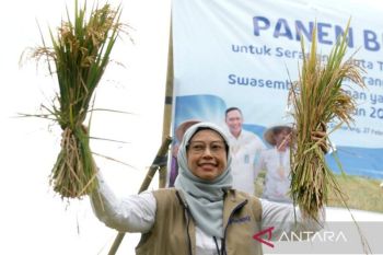 KPK panggil Kepala Bulog Jateng dan 37 saksi kasus bansos beras