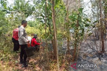 Tim gabungan Bangka Barat padamkan kebakaran lahan di Sungaidaeng