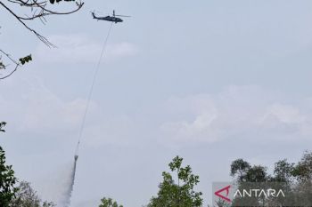 ESDM Kalsel kendalikan karhutla di area 121,6 hektare Guntung Damar