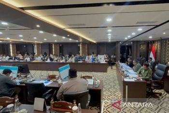 Raperda APBD-P 2026, DKI ajukan Rp250 juta untuk kajian ikan sapu-sapu