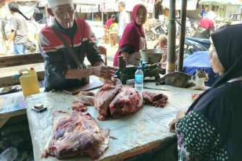 Pemotongan sapi di RPH Kota Mataram naik selama Maulid Nabi