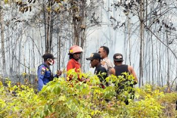 Tim gabungan padamkan kebakaran di Jalan Trans Papua