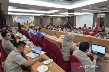 Kementan targetkan 12 ribu pemuda penerima program YESS-SI di Manokwari
