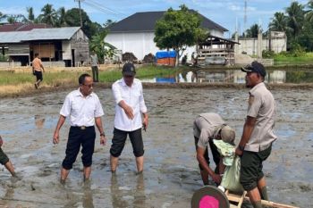 BRMP Aceh terapkan metode tanam padi modern perdana di Abdya