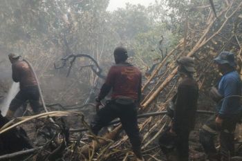 APHI Riau dorong Desa dan PBPH perkuat sinergi hadapi ancaman karhutla
