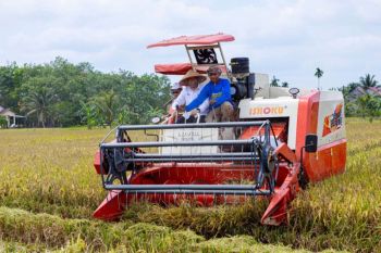 Penerapan LEISA BI Kaltim dongkrak produktivitas padi naik 44,8 persen