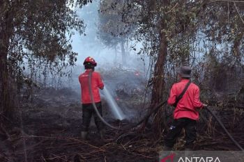 Kolaborasi dengan TNI/Polri-Upika, PT Arara Abadi dan IKPP turunkan Tim RPK dan Heli Water Bombing padamkan api di lahan masyarakat