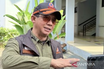 Kepala BNPB: Gunakan "water bombing" hanya saat api karhutla kecil