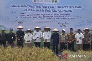 Pemprov Kaltim dan BI kolaborasi terapkan digital farming" di Kukar