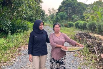Menembus Medan Berat Sebatik, Kisah AO PNM Dampingi Pengusaha Rumput Laut Tumbuh Bersama Holding Ultra Mikro