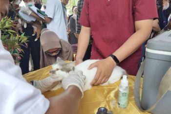 Pemkot Palangka Raya targetkan 8.000 hewan divaksin anti rabies