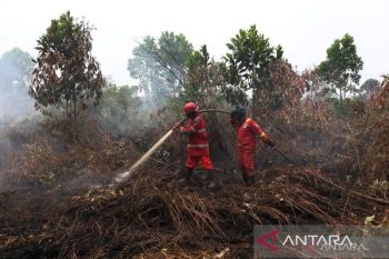 Kalbar perpanjang status darurat asap hingga 20 September
