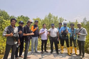 13 PLTS Komunal segera dibangun di OKI