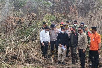 Wapres tinjau karhutla di Kalimantan, pastikan penanganan optimal