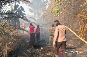 Polres Kutim tahan empat pelaku  penyebab karhutla