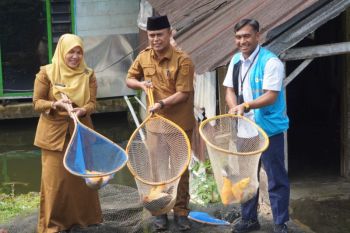 Resmikan Program TJSL di Agam, PLN UID Sumbar Perkuat Usaha Budidaya Ikan Masyarakat